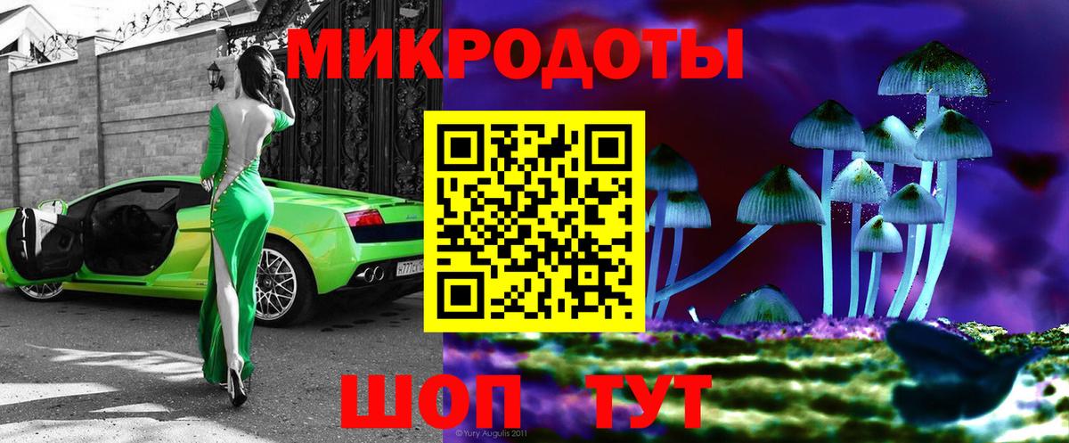 Ступино  наркошоп  Вход с VPN  Галлюциногенные грибы Psilocybe 